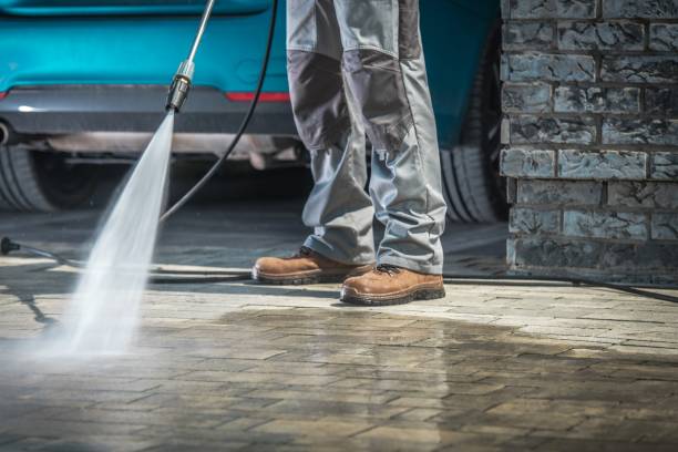 Best Fleet Vehicle Washing  in Palmview South, TX