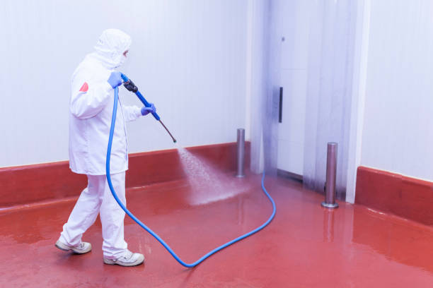 Best Machinery and Equipment Cleaning  in Palmview South, TX