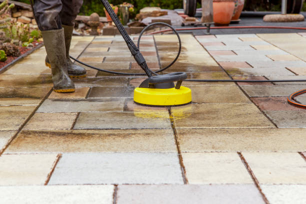 Best Sign and Awning Cleaning  in Palmview South, TX