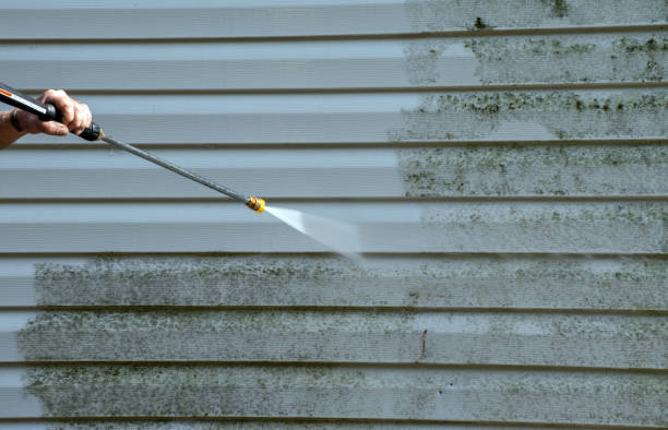Best Fence Cleaning  in Palmview South, TX