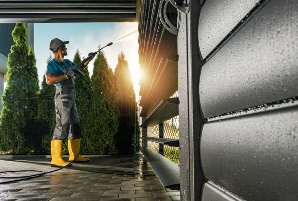 Best Restaurant Pressure Washing  in Palmview South, TX